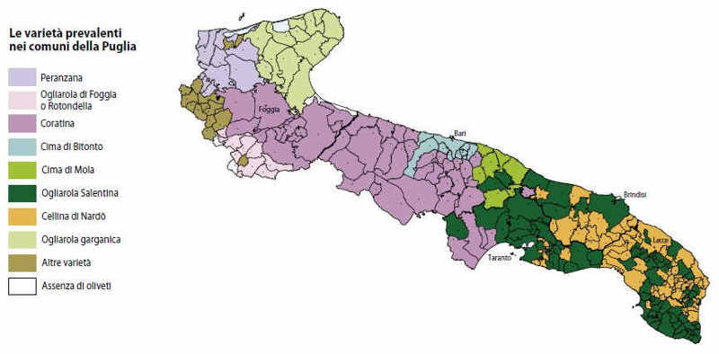 cultivar puglia